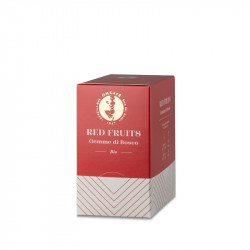 RED FRUITS Biologico
